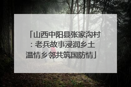 山西中阳县张家沟村：老兵故事浸润乡土 温情乡邻共筑国防情