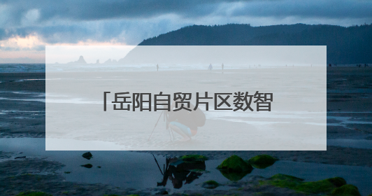 岳阳自贸片区数智法务园：以AI赋能司法，打造新时代法律服务新标杆