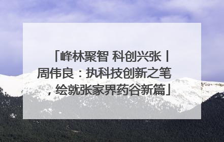 峰林聚智 科创兴张丨周伟良：执科技创新之笔，绘就张家界药谷新篇