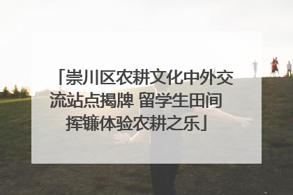 崇川区农耕文化中外交流站点揭牌 留学生田间挥镰体验农耕之乐