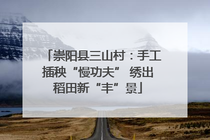 崇阳县三山村：手工插秧“慢功夫” 绣出稻田新“丰”景