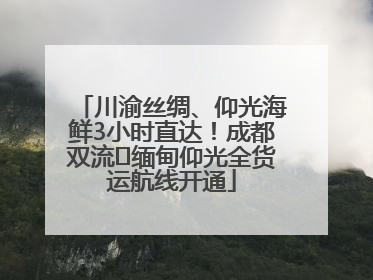 川渝丝绸、仰光海鲜3小时直达！成都双流⇌缅甸仰光全货运航线开通
