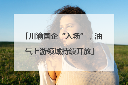 川渝国企“入场”，油气上游领域持续开放