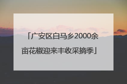 广安区白马乡2000余亩花椒迎来丰收采摘季