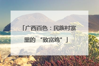 广西百色：民族村寨里的 “致富鸡”