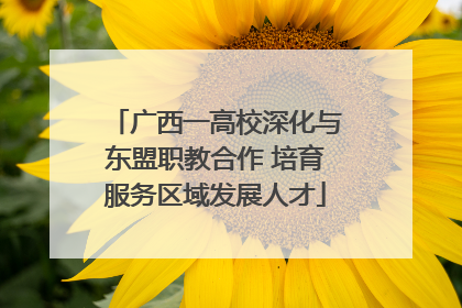 广西一高校深化与东盟职教合作 培育服务区域发展人才