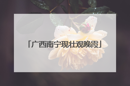 广西南宁现壮观晚霞
