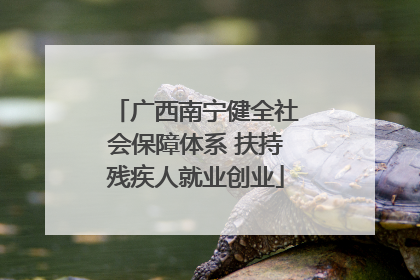 广西南宁健全社会保障体系 扶持残疾人就业创业