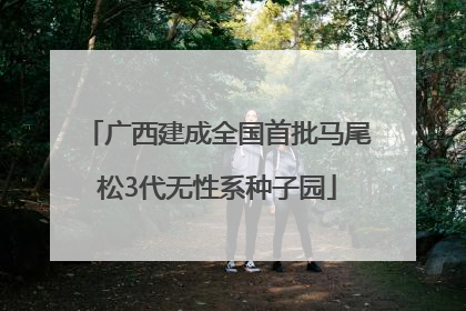 广西建成全国首批马尾松3代无性系种子园