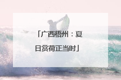 广西梧州：夏日赏荷正当时