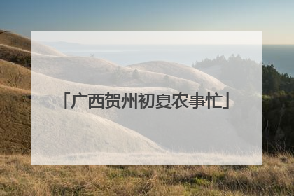 广西贺州初夏农事忙