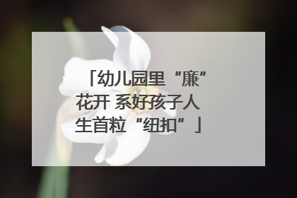 幼儿园里“廉”花开 系好孩子人生首粒“纽扣”