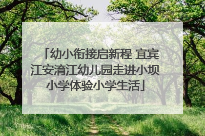 幼小衔接启新程 宜宾江安淯江幼儿园走进小坝小学体验小学生活