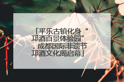 平乐古镇化身“邛酒百景体验园”，成都国际非遗节邛酒文化周启幕
