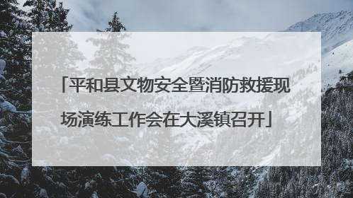 平和县文物安全暨消防救援现场演练工作会在大溪镇召开