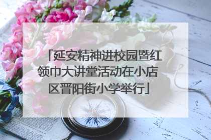 延安精神进校园暨红领巾大讲堂活动在小店区晋阳街小学举行