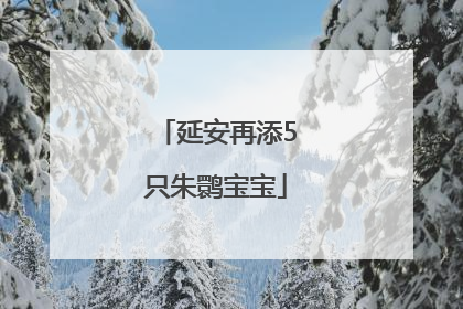 延安再添5只朱鹮宝宝
