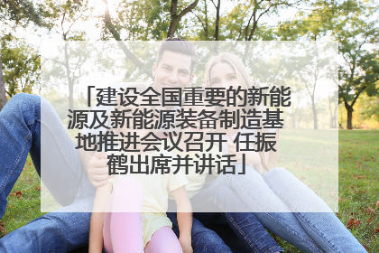 建设全国重要的新能源及新能源装备制造基地推进会议召开 任振鹤出席并讲话