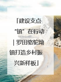 建设支点·“镇”在行动｜罗田骆驼坳镇打造乡村振兴新样板
