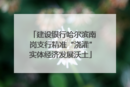 建设银行哈尔滨南岗支行精准“浇灌”实体经济发展沃土