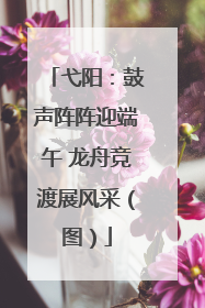 弋阳：鼓声阵阵迎端午 龙舟竞渡展风采（图）