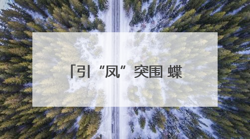 引“凤”突围 蝶变换颜——庆城县药王洞养生小镇农文旅融合发展纪实