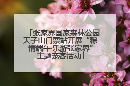 张家界国家森林公园天子山门票站开展“粽情端午·乐游张家界”主题宠客活动