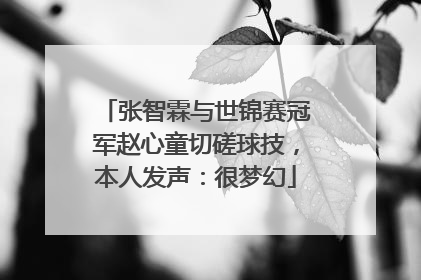 张智霖与世锦赛冠军赵心童切磋球技，本人发声：很梦幻