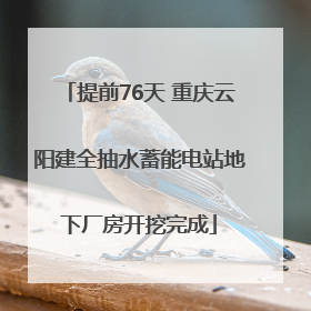 提前76天 重庆云阳建全抽水蓄能电站地下厂房开挖完成