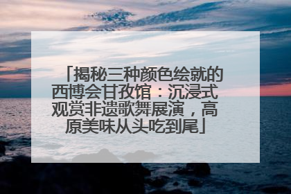 揭秘三种颜色绘就的西博会甘孜馆：沉浸式观赏非遗歌舞展演，高原美味从头吃到尾
