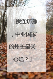 接连访豫，中亚国家的州长最关心啥？