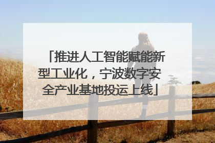 推进人工智能赋能新型工业化，宁波数字安全产业基地投运上线