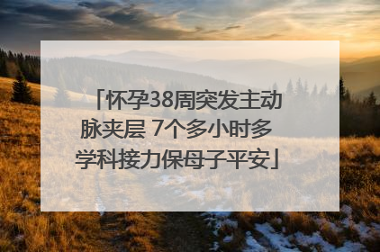 怀孕38周突发主动脉夹层 7个多小时多学科接力保母子平安