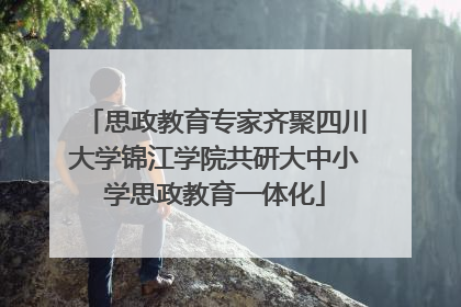 思政教育专家齐聚四川大学锦江学院共研大中小学思政教育一体化