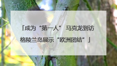 成为“第一人” 马克龙到访格陵兰岛展示“欧洲团结”