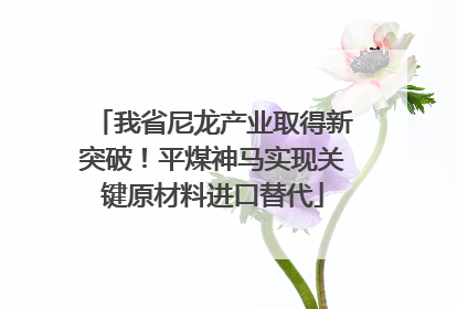我省尼龙产业取得新突破！平煤神马实现关键原材料进口替代