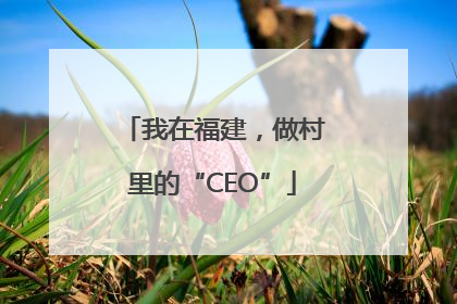 我在福建，做村里的“CEO”