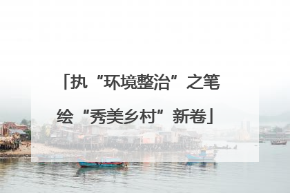 执“环境整治”之笔 绘“秀美乡村”新卷