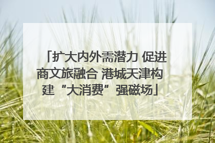 扩大内外需潜力 促进商文旅融合 港城天津构建“大消费”强磁场