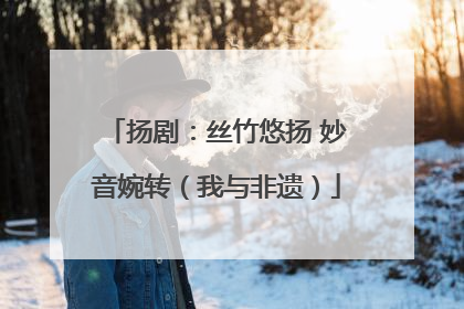 扬剧：丝竹悠扬 妙音婉转（我与非遗）