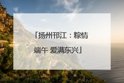 扬州邗江：粽情端午 爱满东兴