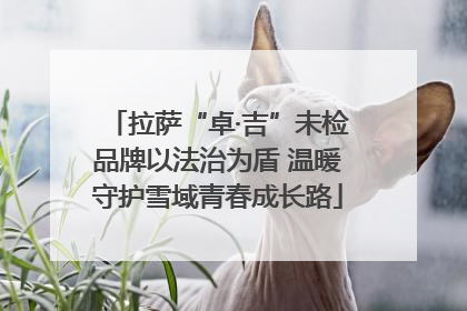 拉萨“卓·吉”未检品牌以法治为盾 温暖守护雪域青春成长路