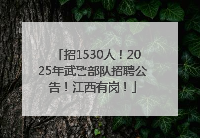 招1530人！2025年武警部队招聘公告！江西有岗！