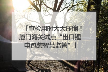 查检用时大大压缩！厦门海关试点“出口锂电包装智慧监管”
