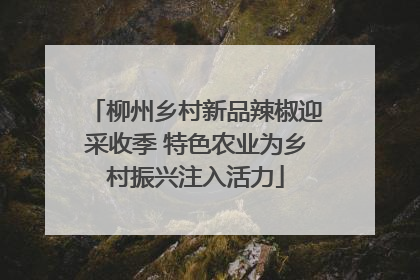 柳州乡村新品辣椒迎采收季 特色农业为乡村振兴注入活力