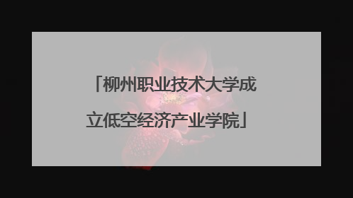 柳州职业技术大学成立低空经济产业学院