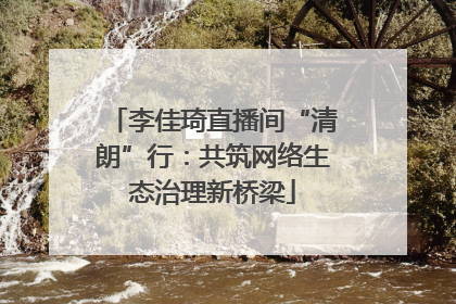 李佳琦直播间“清朗”行：共筑网络生态治理新桥梁