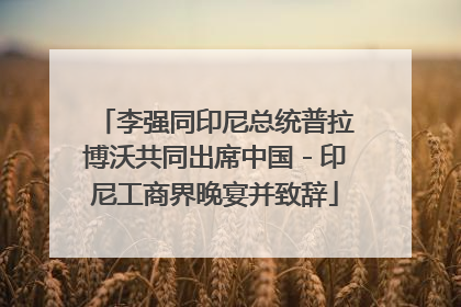 李强同印尼总统普拉博沃共同出席中国－印尼工商界晚宴并致辞