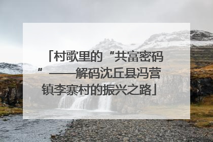 村歌里的“共富密码”——解码沈丘县冯营镇李寨村的振兴之路