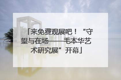 来免费观展吧！“守望与在场——毛本华艺术研究展”开幕